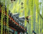 春分是什么意思？