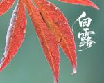 白露节气的由来