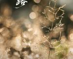 介绍一下白露节气的传统习俗