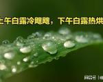 白露低温防护措施对照表