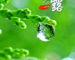 传统习俗中，白露时节还有哪些饮食禁忌？