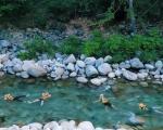 适合“窝囊游”的旅游目的地