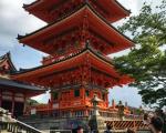 东京春季旅游详细攻略