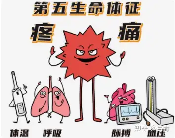 关注“第五生命体征”，别让疼痛拖成疾