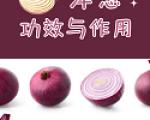 洋葱快手健康食谱