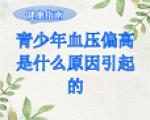 青少年血压偏高是什么原因引起的？