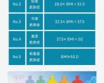 不同身体质量指数（BMI） 区间的针对性干预建议