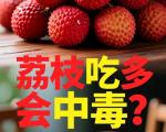  荔枝病有哪些症状？