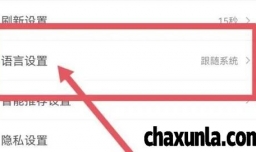 车来了繁体中文效果如何设置