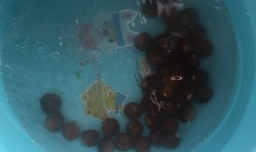 板栗如何做好吃？