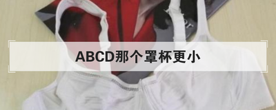 ABCD那个罩杯更小