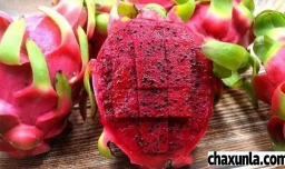 火龙果的作用