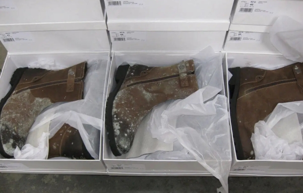 怎么预防物品发霉?