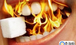 五红汤用红枸杞还是黑枸杞（红色）