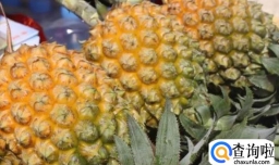 挑选菠萝的技巧