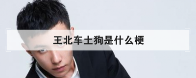 王北车土狗是什么梗