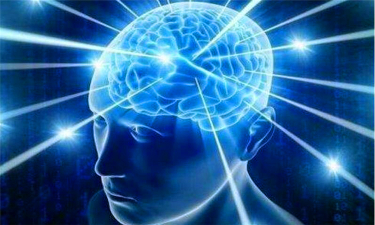 抑制是什么意思