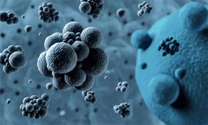 virus是什么意思