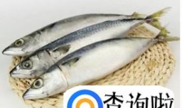 最简单的懒人做鱼法——好吃不贵的鲅鱼