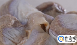 西洋菜陈肾猪骨汤怎么做