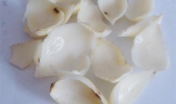 鲜百合怎样保存