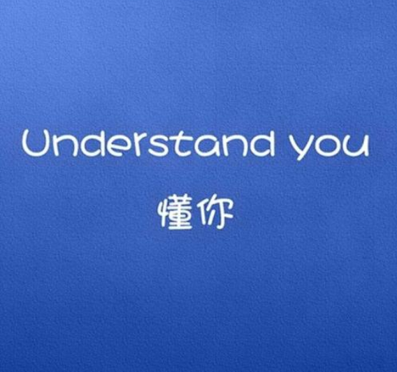 understand什么意思