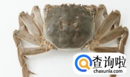 怎么样挑选蟹黄满、蟹膏肥的大闸蟹？