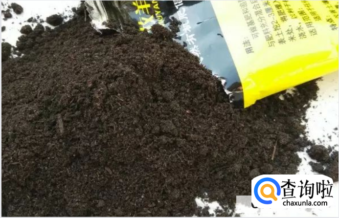 肥料倒多了怎么办