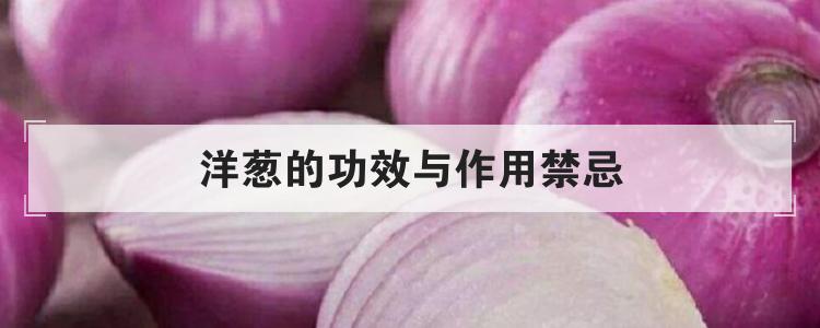 洋葱的功效与作用禁忌