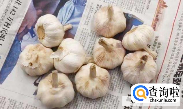 大蒜怎么保存不发芽br