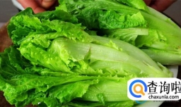 吃生菜会致癌吗