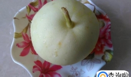 冰爽好吃的香瓜冰沙的做法