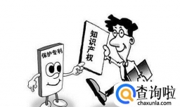哪些设计和方法不会授予专利权？