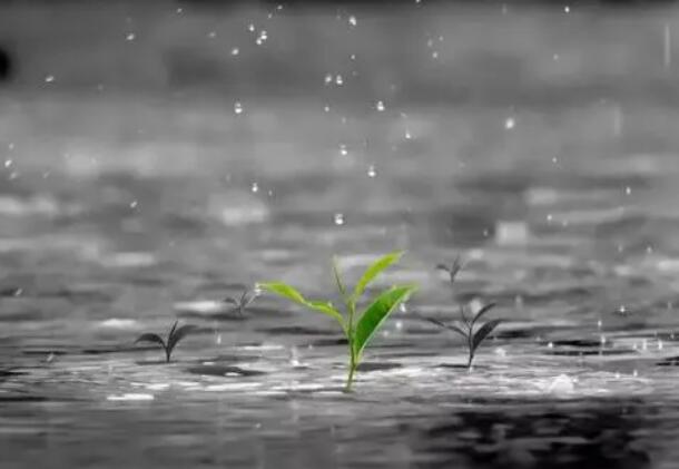 人生四大喜事是什么