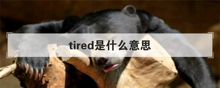 tired是什么意思