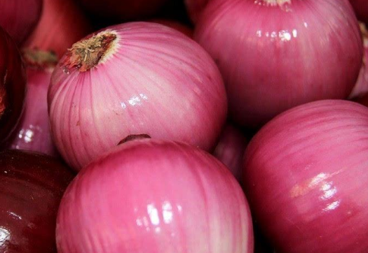 洋葱需要放冰箱吗