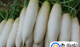 腌萝卜丝的家常做法