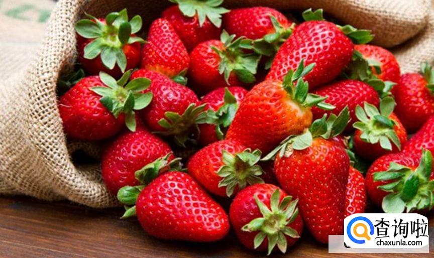 夏天吃的食物有哪些