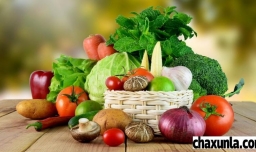 减肥的宵夜可以吃那些