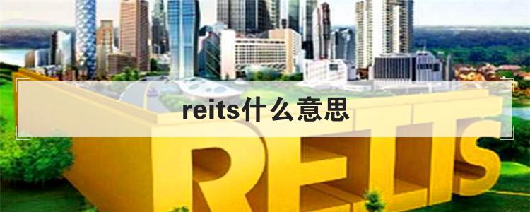 reits什么意思