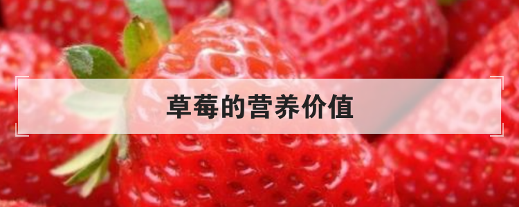 草莓的营养价值