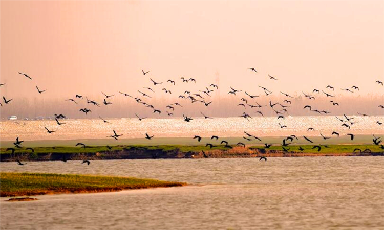 洞庭湖在哪个省