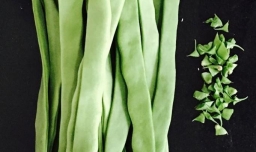 如何制作好吃的豆角木耳面卤汤？