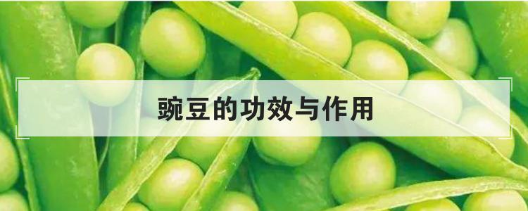 豌豆的功效与作用br