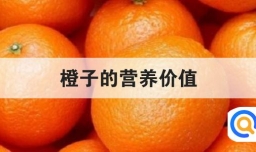 橙子的营养价值