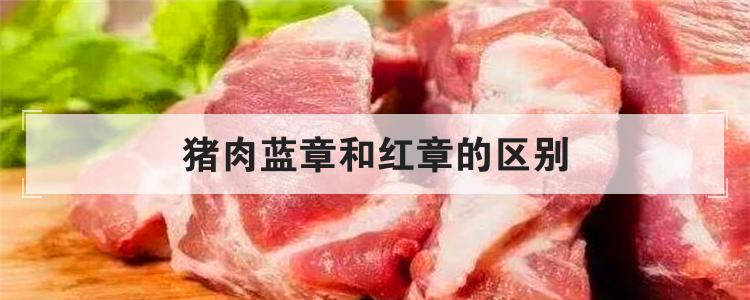 猪肉蓝章和红章的区别