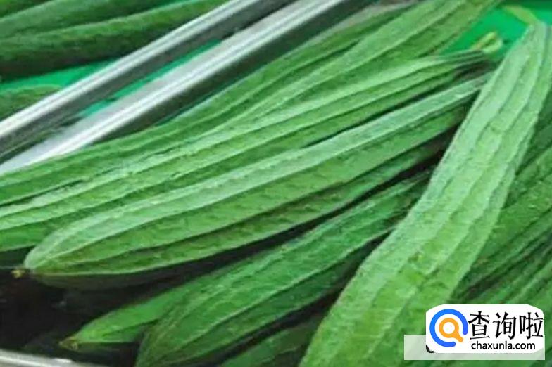 丝瓜种子怎么种才发芽快