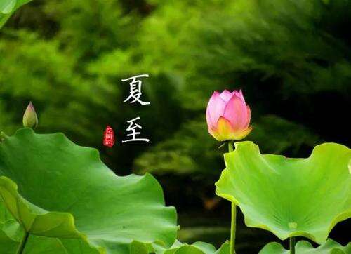 夏至的意义是什么