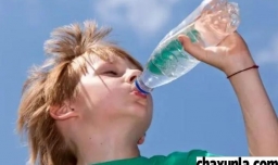 从宝宝入园前需要培养生活习惯有哪些