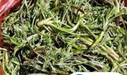 正宗民族柳蒿芽的做法